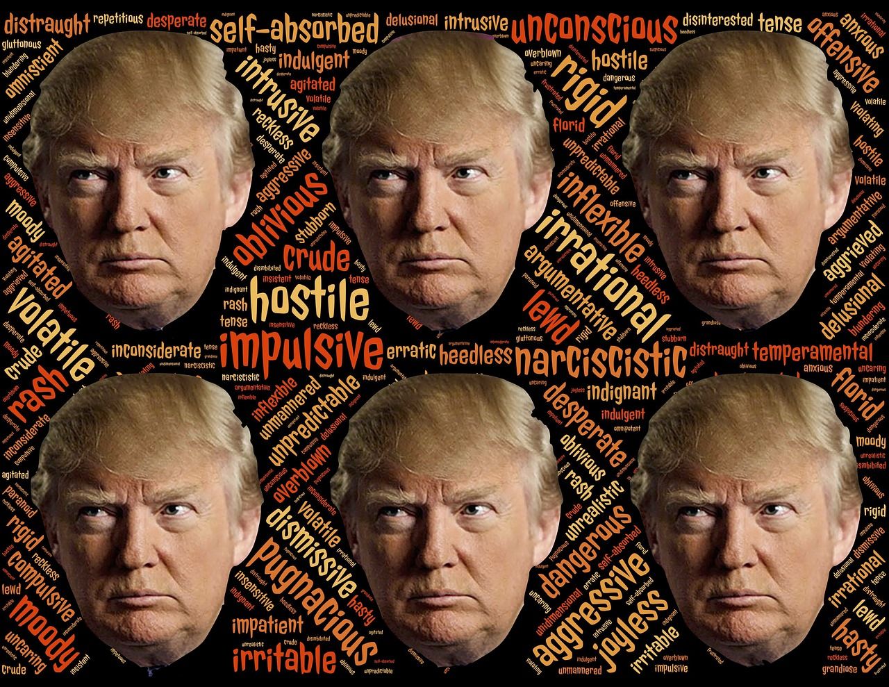 【政治】今更感のあるトランプ懸念!今週の相場見通し&トレード戦略まとめ【11月20日〜24日】