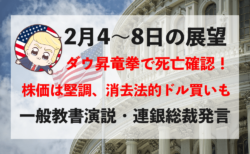 【一般教書演説】NYダウ3,000ドル昇竜拳！今週の相場見通し＆トレード戦略まとめ【2月4〜8日】