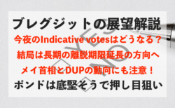 【ブレグジット】本日のIndicative votesの見どころや今後の展望について解説【ポンド】
