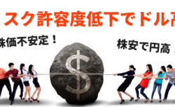 【為替】リスクオフのドル高！日銀の利上げ否定で円売りも株安で打ち消しに…【1月20〜21日のトレード戦略】