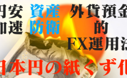 【日本円の紙くず化】低レバスワップ生活で資産防衛！円安が止まらないのでFXの外貨預金的運用について解説してみた