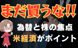 第2波の下落の備える理由/焦点は米経済の状況とFRBの利下げ！株と為替の展望と戦略→8月14日