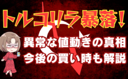 【金利50%の超絶高金利通貨】トルコリラ暴落でロスカット続出？次の買い時も解説！→8月28日
