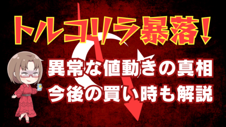 【金利50%の超絶高金利通貨】トルコリラ暴落でロスカット続出？次の買い時も解説！→8月28日