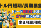 【金利50%の超絶高金利通貨】トルコリラ暴落でロスカット続出？次の買い時も解説！→8月28日