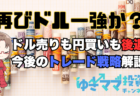 【株】ASMLショックで日経平均も大暴落！エヌビディアは買い？注目判断材料とは→10月16日