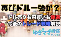 【為替】再びドル一強の流れ！投機筋の円売り解消なく、円高は限定的/中期見通し解説→10月15日