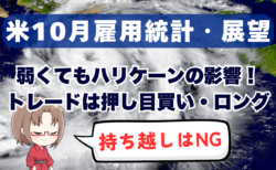 米10月雇用統計のトレード戦略解説！弱くてもハリケーンの影響、ドル円は押し目買い・ロング