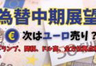 【為替中期展望】次に売られるのはユーロ確定？ドル高も限界なのでドル円は慎重に→11月26日