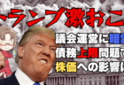 【緊急解説】トランプ新政権で再燃！2025年債務上限問題と米議会の行方、株価への影響は？→12月30日