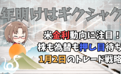 米国株・ドル円は年明けから金利でギクシャク！総崩れなら大型テック株買い増しで→1月2日