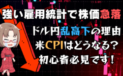 【米12月雇用統計】予想以上の強さで相場混乱？次の焦点は15日のCPI/消費者物価指数→1月11日