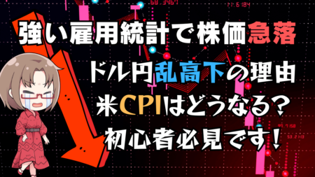 【米12月雇用統計】予想以上の強さで相場混乱？次の焦点は15日のCPI/消費者物価指数→1月11日