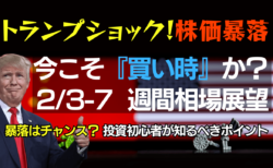 【2/3-7】トランプショックで揺れる相場を徹底解説！今週の株価とドル円のトレード戦略解説