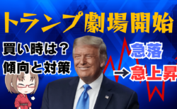 トランプ劇場で相場が乱高下！傾向と対策、やってはいけない行動を解説→2月4日のトレード戦略