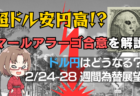 【今週エヌビディア決算】米国株はなぜ急落？初心者が知るべき相場動向と投資戦略をわかりやすく解説