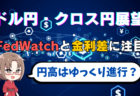 【トランプ砲】米国株・日経平均が大暴落！どこまで下がる？優先して買うべき銘柄は？今後の投資戦略を解説→2月28日