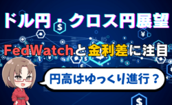 【ドル円・クロス円の行方】日米金利差とFedWatchが示す今後の為替相場シナリオとは？短期は徐々に下方向も…→2月27日