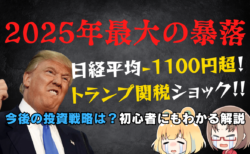 【トランプ砲】米国株・日経平均が大暴落！どこまで下がる？優先して買うべき銘柄は？今後の投資戦略を解説→2月28日