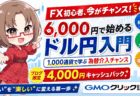 FX初心者が月1万円を狙うドル円トレード入門｜約6,000円から始める為替介入相場の少額実践/PR