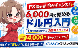 FX初心者が月1万円を狙うドル円トレード入門|約6,000円から始める為替介入相場の少額実践/PR