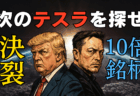 トランプとマスク、完全決裂！テスラ株(TSLA)の今後、ポスト・スペースX爆上げ期待2銘柄を解説