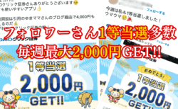 フォロワーさん当選ラッシュ！毎週最大2,000円もらえるGMOクリック証券【ポイ活/株主優待勢必見】