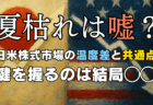 『夏枯れは嘘』は本当？過熱する米国AI株と海外勢の買う日本株、今後の株価・相場見通し→8月10日の週