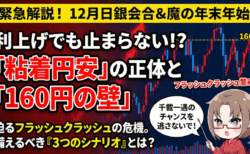 【ドル円予想】利上げでも止まらない円安の正体！12月日銀会合後の為替介入シナリオと戦略/12月14日
