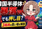 韓国半導体株がまた暴落w SKハイニクス12％急落はAIバブル崩壊か？マイクロン・サンディスク・SpaceXの買い場を解説【6月23日】