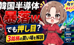 韓国半導体株がまた暴落w SKハイニクス12％急落はAIバブル崩壊か？マイクロン・サンディスク・SpaceXの買い場を解説【6月23日】