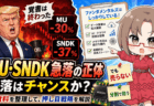 【保存版】半導体株暴落！MU・SNDKは本当に終わったのか？私が1株も売らず、サンディスクを買い増した理由【7月8日】