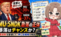 【保存版】半導体株暴落!MU・SNDKは本当に終わったのか?私が1株も売らず、サンディスクを買い増した理由【7月8日】