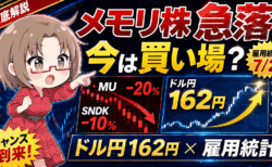 【マイクロン20%急落】メモリ株になにが起きているのか?39年ぶり円安162円!7月2日の雇用統計・介入の立ち回りまで徹底解説