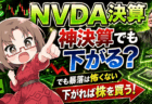 【エヌビディア決算直前】神決算でも株価は下がる？それでも「暴落を怖がらなくていい」理由