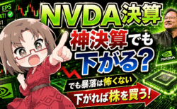 【エヌビディア決算直前】神決算でも株価は下がる？それでも「暴落を怖がらなくていい」理由